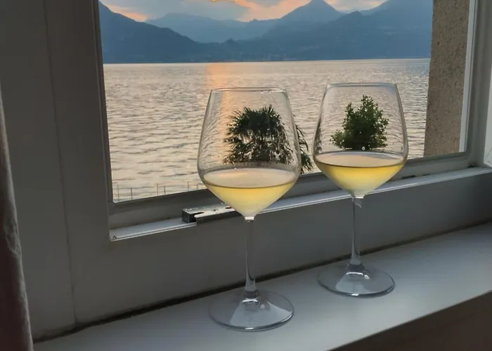 Cheers Sunset 097084-lni-00008 فارينا